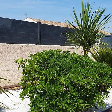 La Villa De L'Olivier Piscine Privee Et Parking Carcassonne Zewnętrze zdjęcie