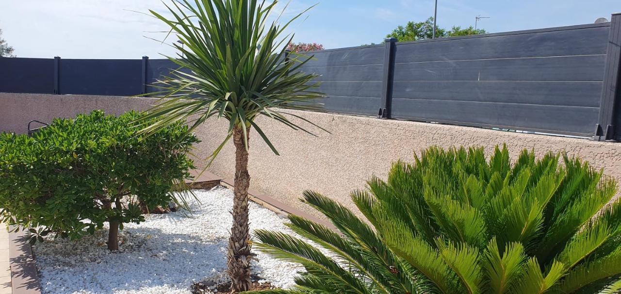 La Villa De L'Olivier Piscine Privee Et Parking Carcassonne Zewnętrze zdjęcie