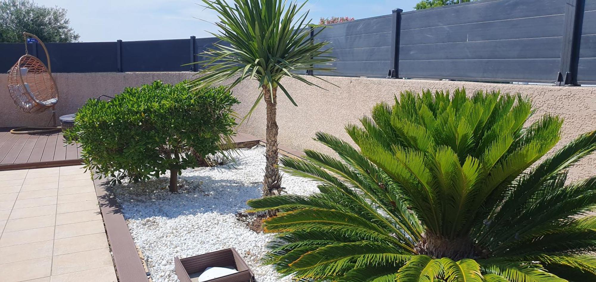 La Villa De L'Olivier Piscine Privee Et Parking Carcassonne Zewnętrze zdjęcie